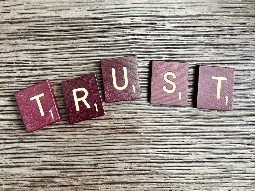 Trust and Warmth Are Leadership Competencies